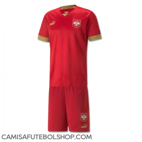 Camisa de time de futebol Sérvia Replicas 1º Equipamento Infantil Mundo 2022 Manga Curta (+ Calças curtas)